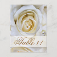 White Wedding Roses Reception Table Number Cards