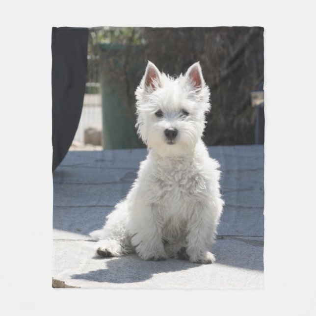 White West Highland Terrier Sitting on Sidewalk Fleece Blanket (Front)