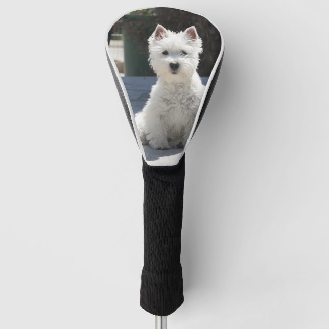 White West Highland Terrier Sitting on Sidewalk Golf Head Cover (Front)