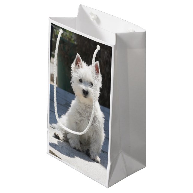 White West Highland Terrier Sitting on Sidewalk Small Gift Bag (Front Angled)