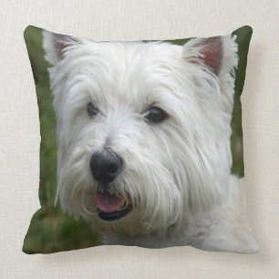 WHiTE WeST HiGHLaND TeRRiER Throw Pillow