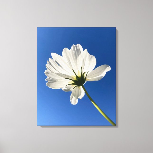 White Wild Flower Canvas Art (Front)