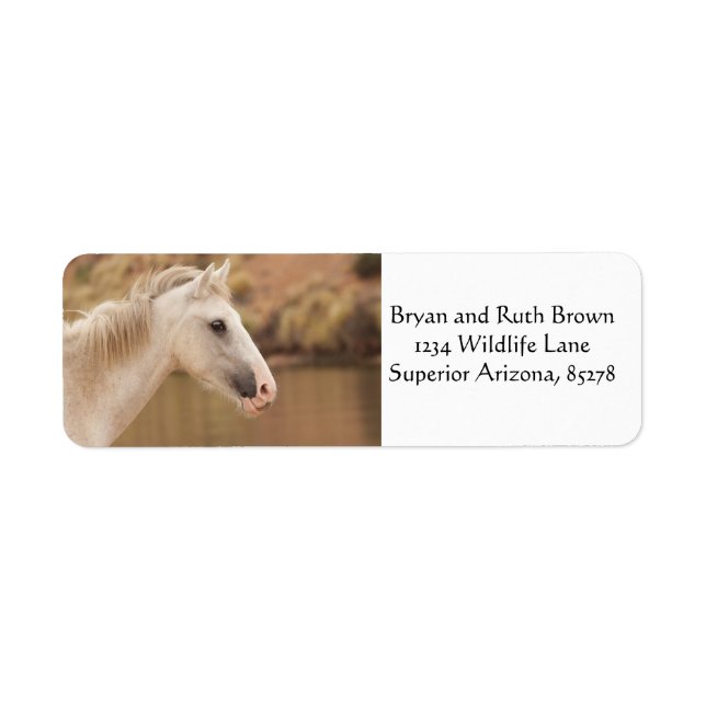 White wild horse (Front)