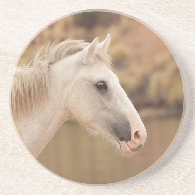 White wild horse coaster (Front)