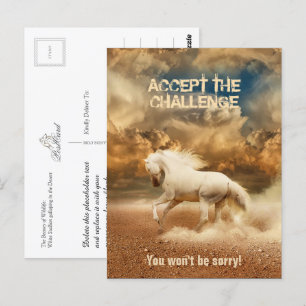 White Wild Horse Crossing the Desert - Collectable Postcard