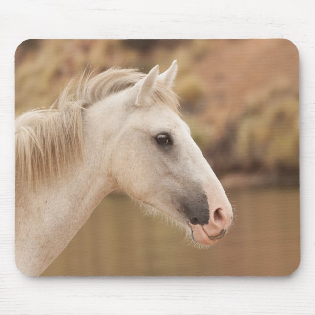 White wild horse mouse pad (Front)