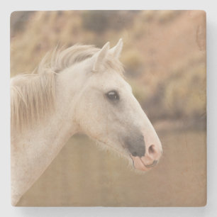 White wild horse stone coaster