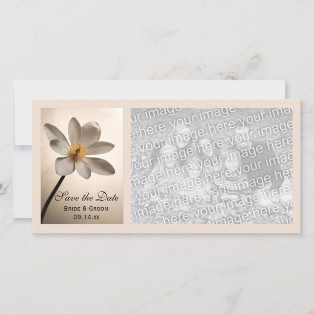 White Wildflower Wedding Save the Date (Front)