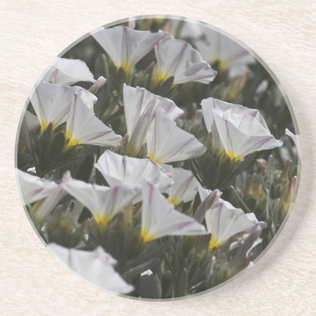 White wildflowers coaster (Front)
