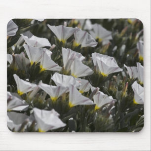 white wildflowers mouse pad