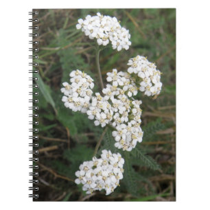 White Wildflowers Notebook