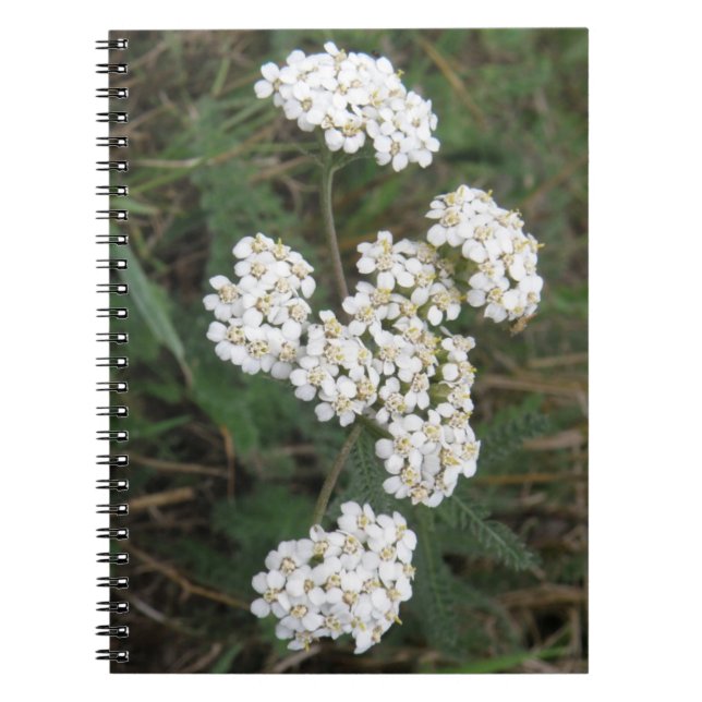 White Wildflowers Notebook (Front)