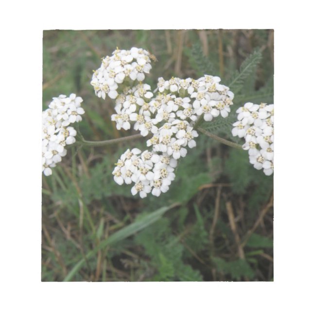White Wildflowers Notepad (Front)