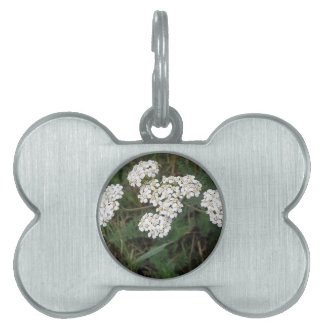 White Wildflowers Pet Tag (Front)