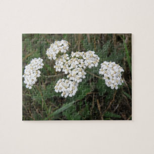 White Wildflowers Puzzle