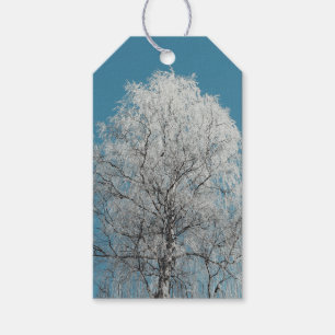 White Willow Tree Against Cloudless Blue Sky Gift Tags