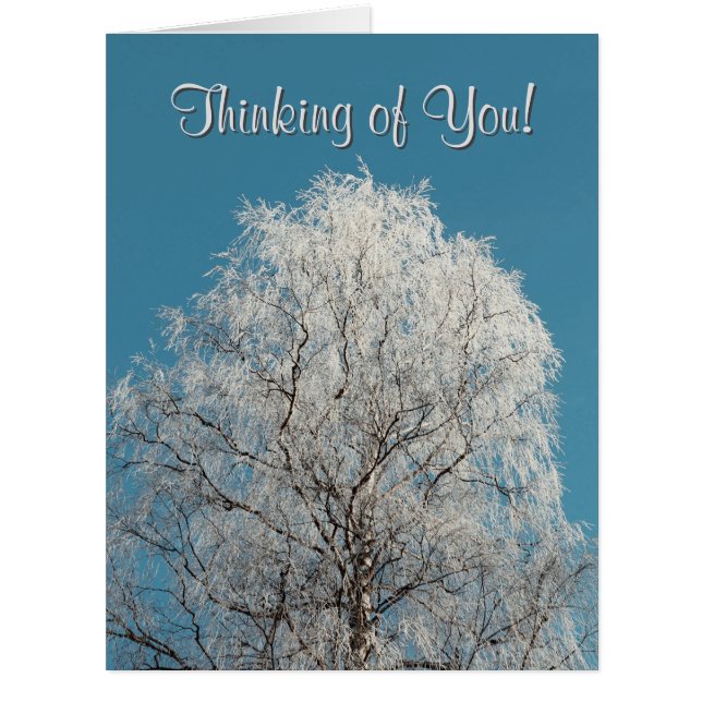  White Willow Tree Cloudless Sky Blank Inside  (Front)