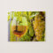 White Wine And Grapes