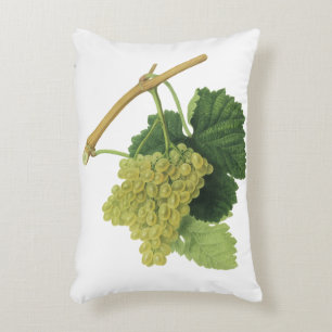 White Wine Grapes on the Vine, Vintage Food Fruit Accent Pillow