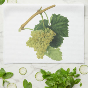 White Wine Grapes on the Vine, Vintage Food Fruit Kitchen Towel