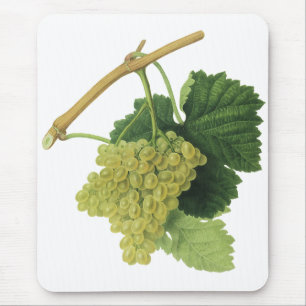 White Wine Grapes on the Vine, Vintage Food Fruit Mouse Pad