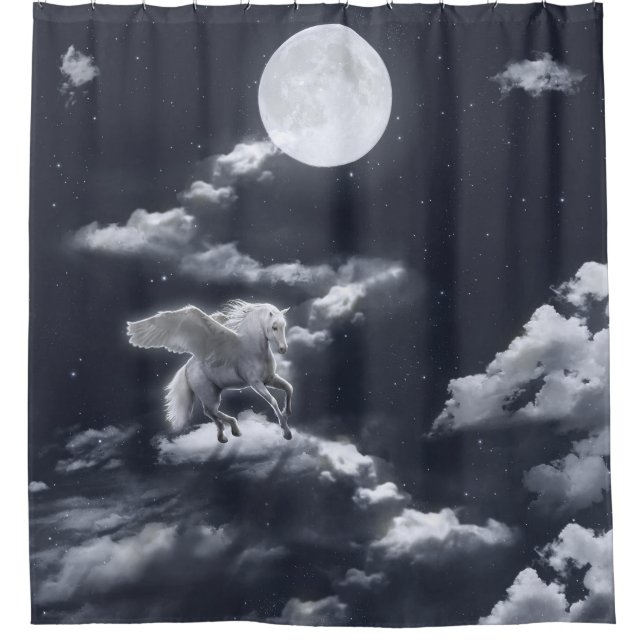 White winged horse: moonlit sky. (Front)