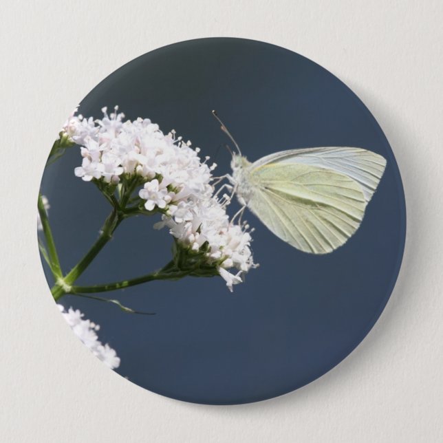 White Winged Wonder Butterfly Pin (Front)