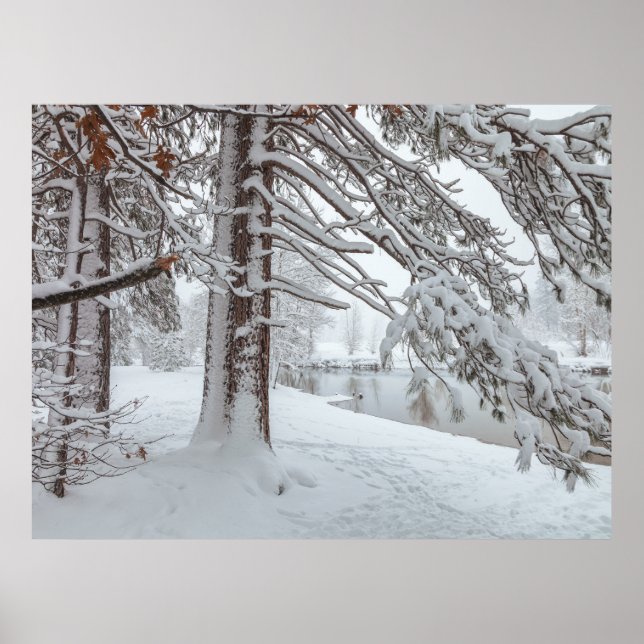 White Winter Poster (Front)