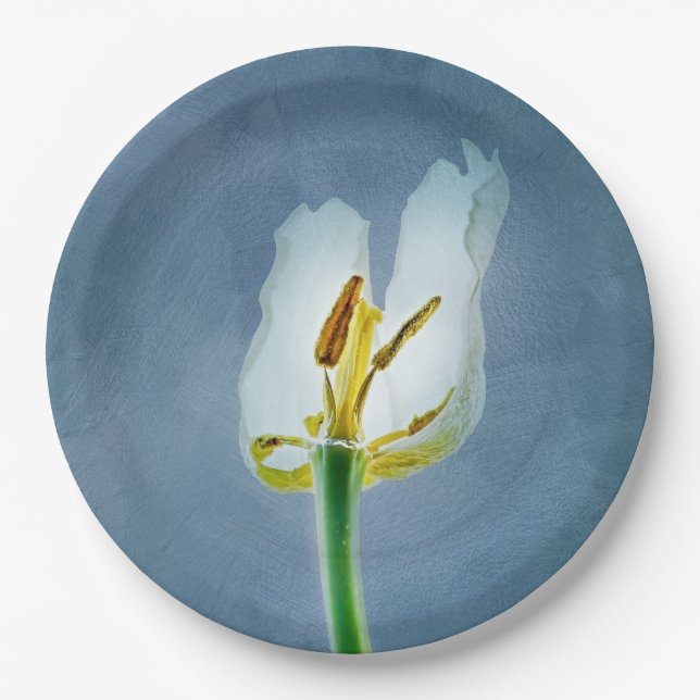 White withering tulip flower paper plate (Front)