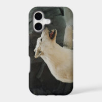 White Wolf