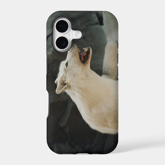 White Wolf (Back)
