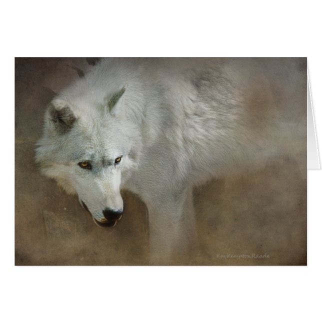 White Wolf (Front Horizontal)