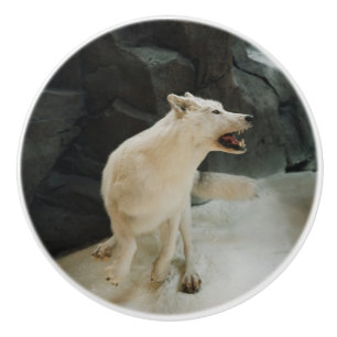 White Wolf Ceramic Knob