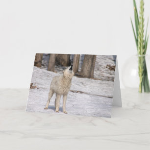 White Wolf Howling Blank Notecard