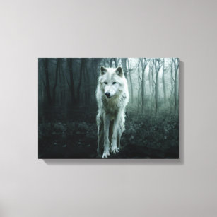 White Wolf in the forest Canvas Print