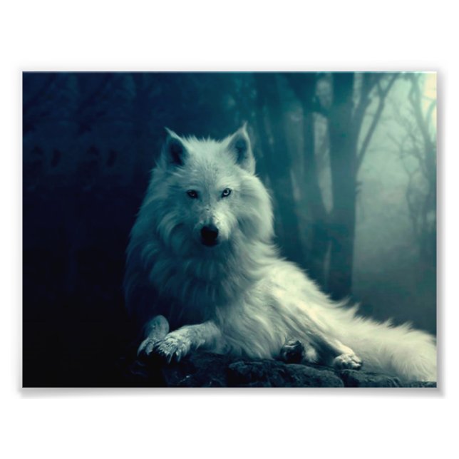 White wolf in the night forest photo print (Front)