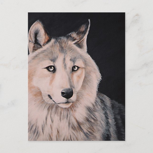 White Wolf painting by DiDi Postcard (Front)