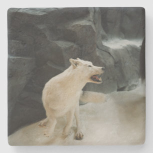 White Wolf Stone Coaster