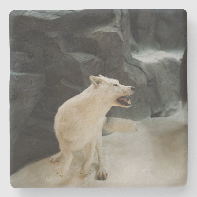 White Wolf Stone Coaster (Front)