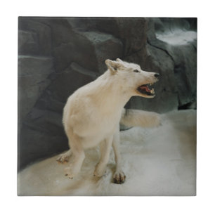 White Wolf Tile