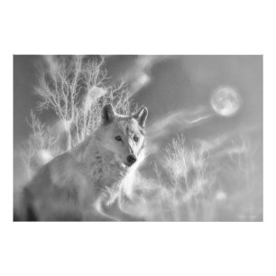 WHITE WOLF WHITE FOREST PHOTO PRINT