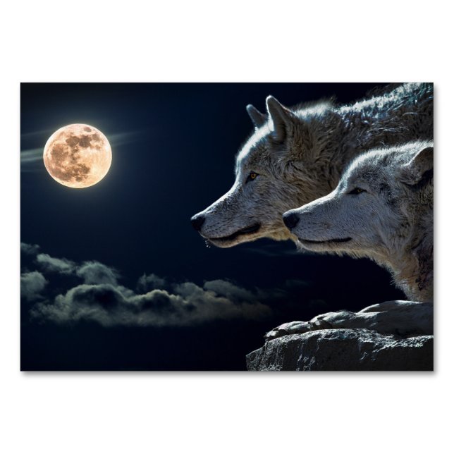 White Wolves Howling at the Full Moon Table Card (Front)