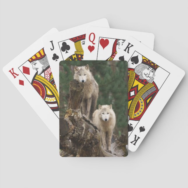 White Wolves' Realm Playing Cards (Back)