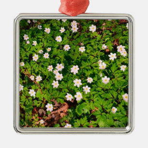 White Wood Anemone Spring Flowers Metal Ornament