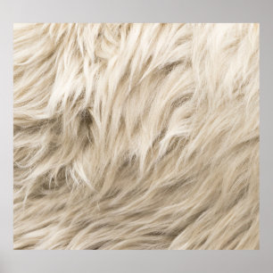 White Wool Fluffy Texture Background Poster