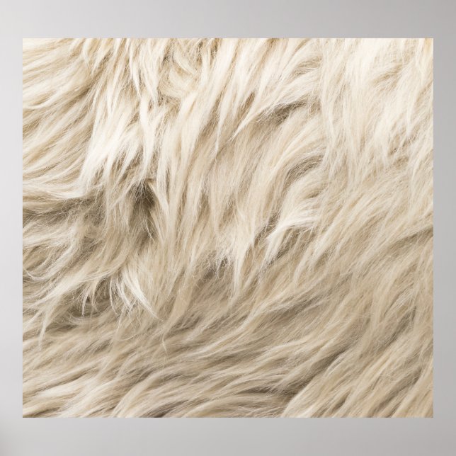 White Wool Fluffy Texture Background Poster (Front)
