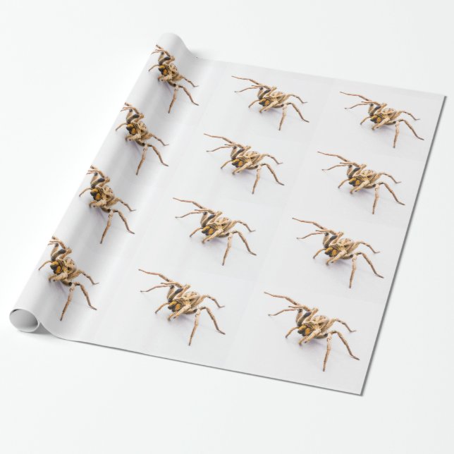 WHITE WRAPPING PAPER WITH ROWS OF SPIDERS. (Unrolled)