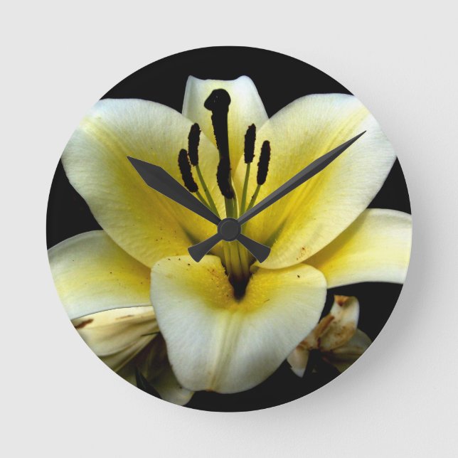 White Yellow Blossom on Black Background Floral Round Clock (Front)
