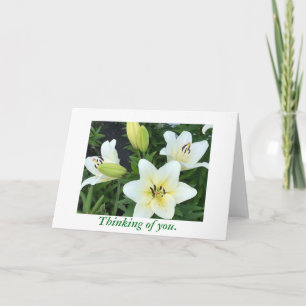 White Yellow Day Lilies Thinking of You Cards