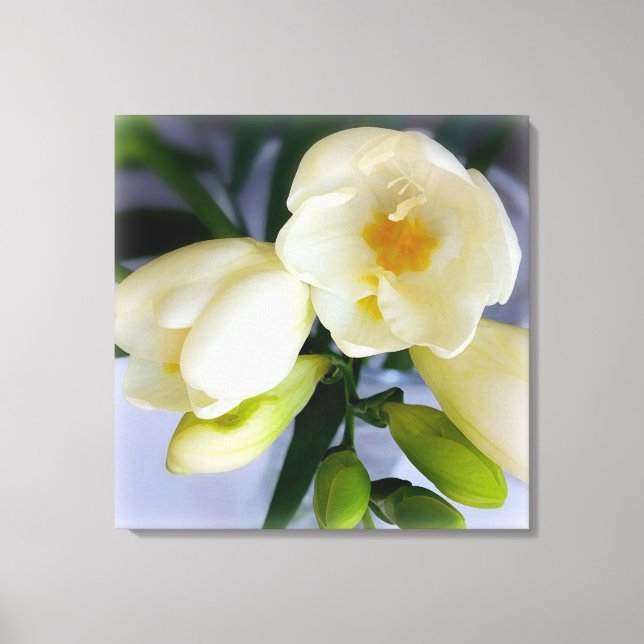 white yellow freesia canvas print (Front)